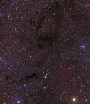 Barnard 169, The Black Fish