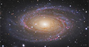 Spiralgalaxie M81
