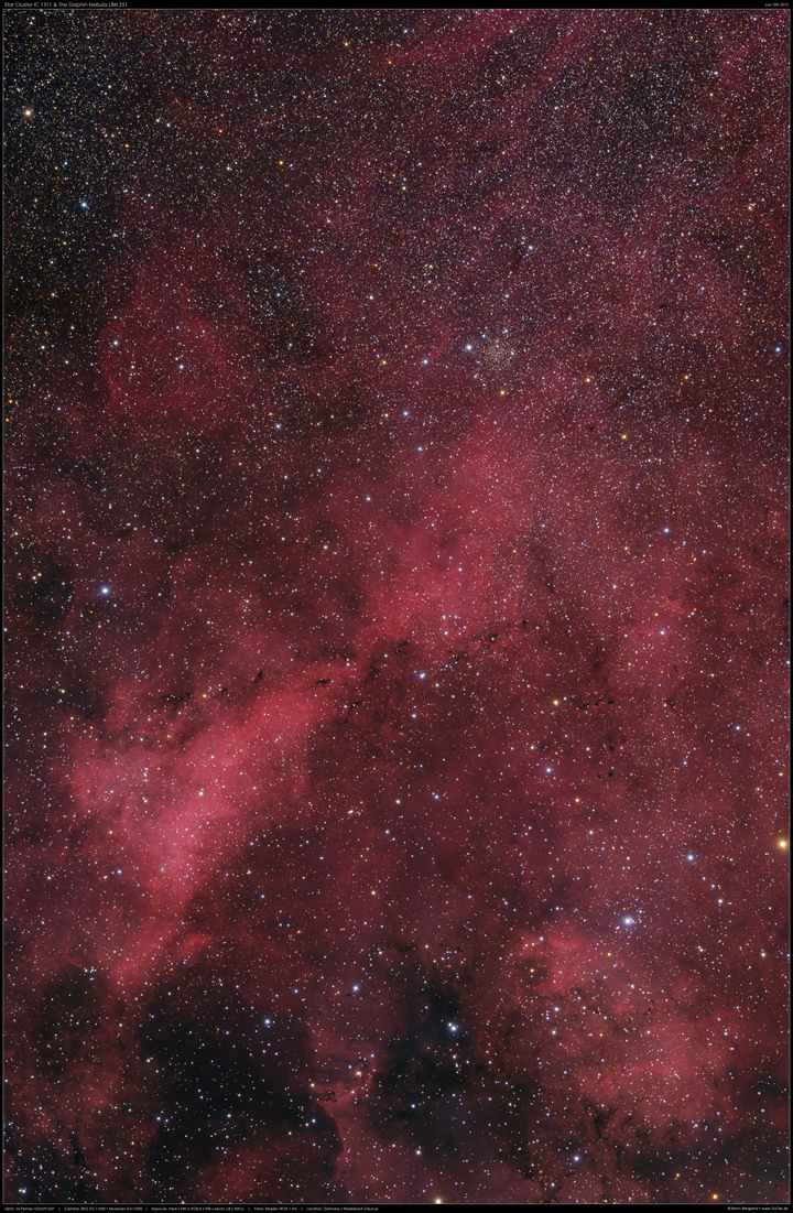 IC 1311 & LBN 251 im Schwan