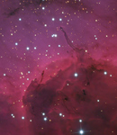 Der Pelikannebel IC 5070