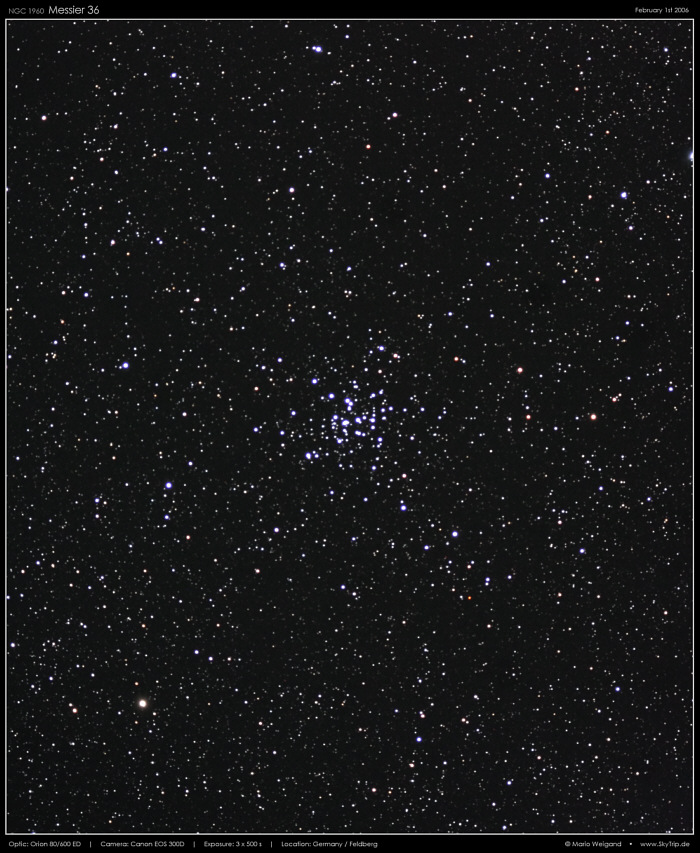 Sternhaufen Messier 36
