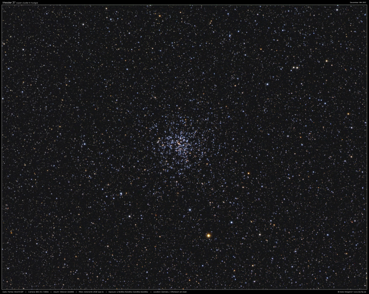 Sternhaufen Messier 37