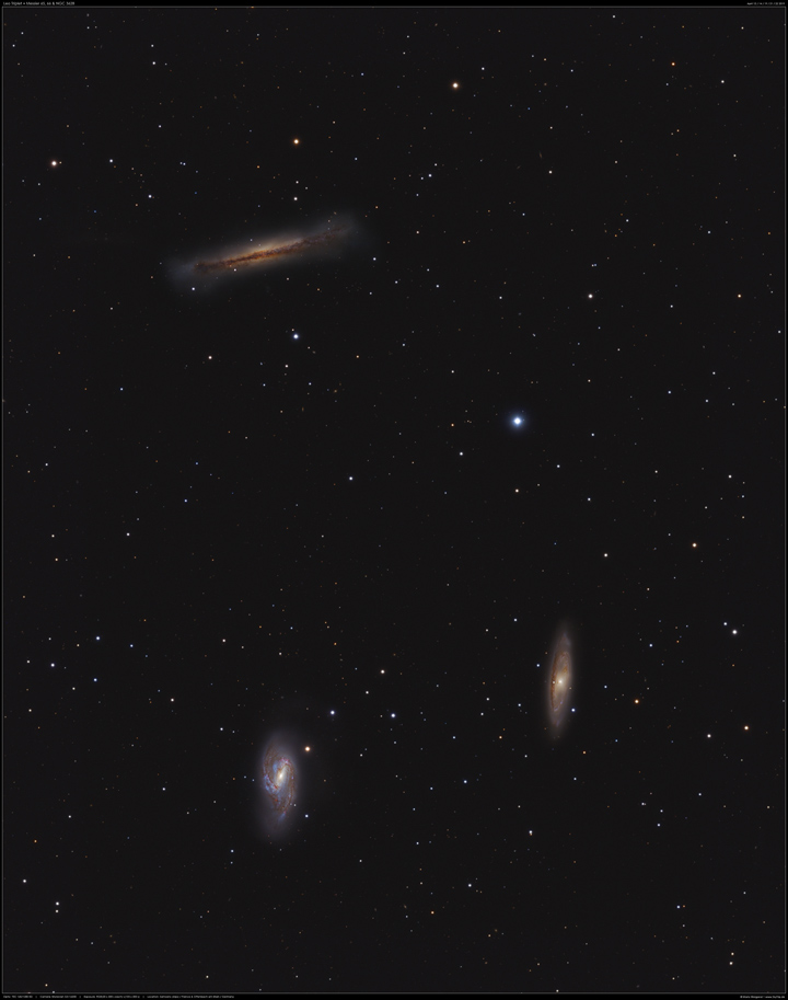 Das Leo Triplet M65, M66 & NGC 3628