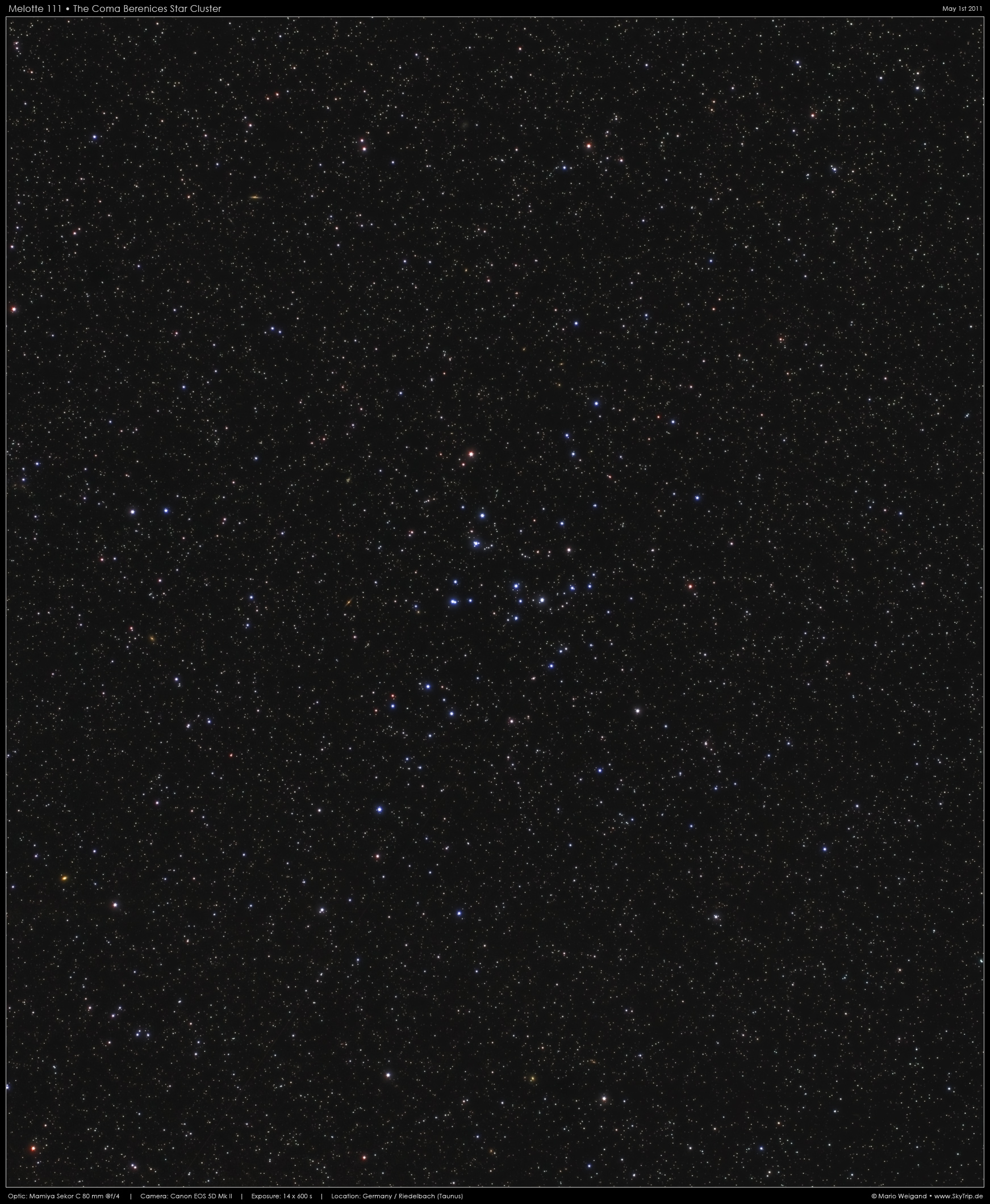 Melotte 111 - The Coma Berenice Cluster