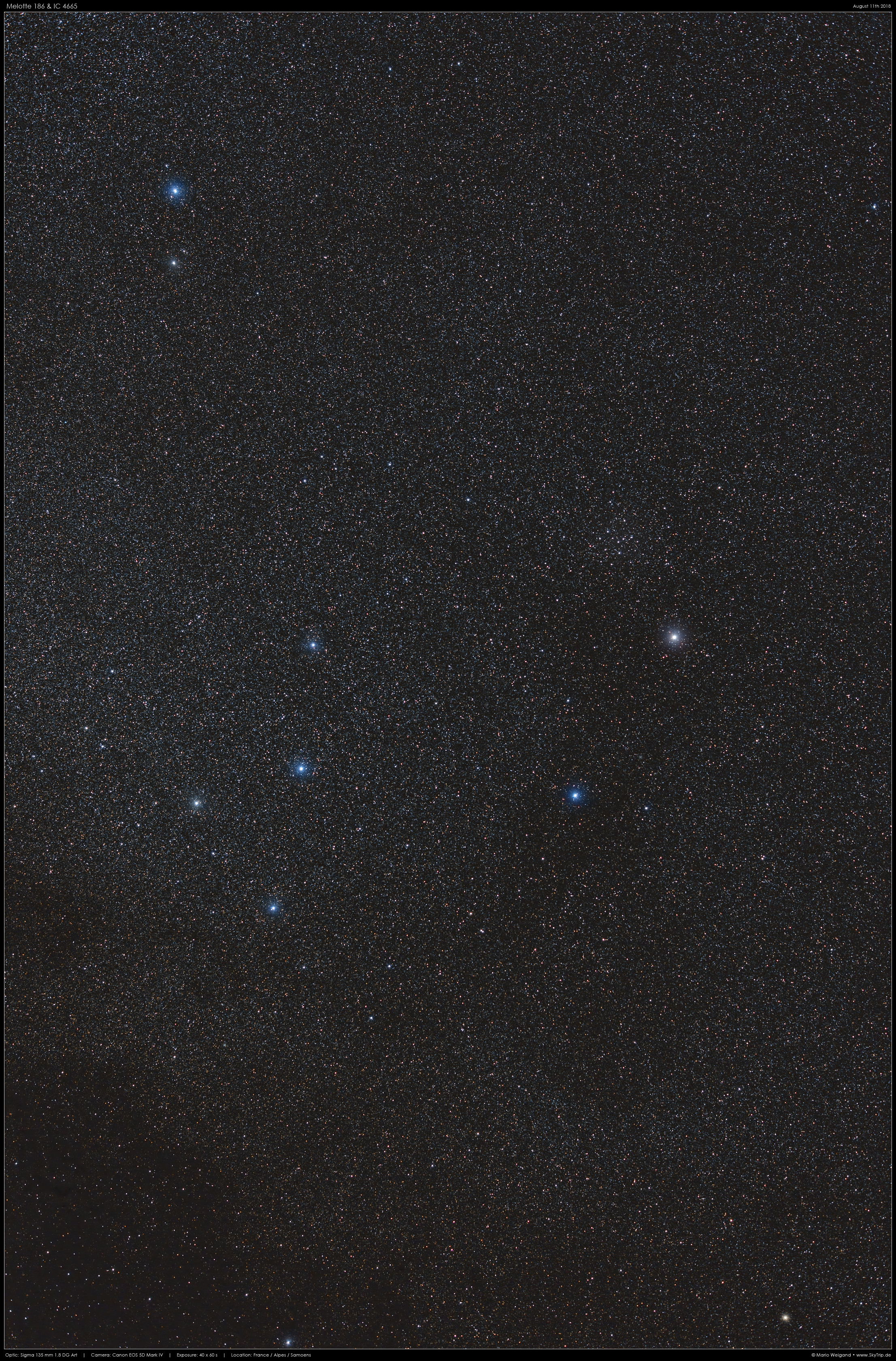 Melotte 186 & IC 4665 im Schlangentrger