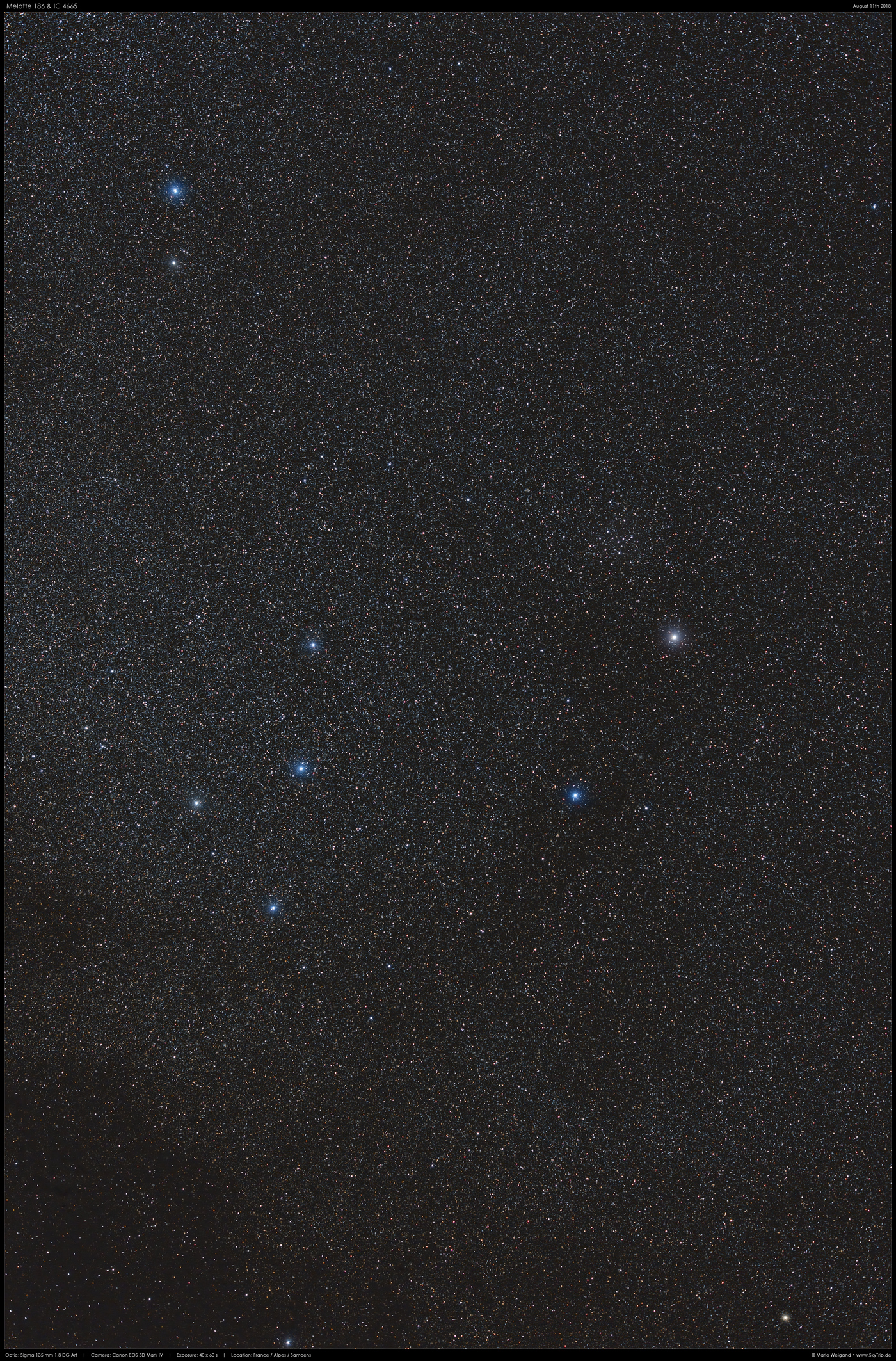 Melotte 186 & IC 4665 im Schlangentrger