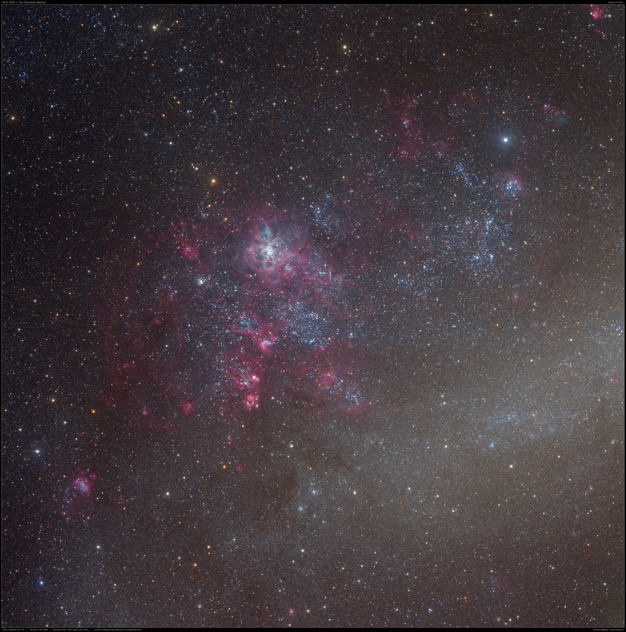 Der Tarantelnebel NGC 2070