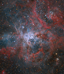 Der Tarantelnebel NGC 2070
