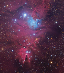 NGC 2264 & der Konusnebel