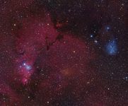 Der Konusnebel, NGC 2264 & mehr