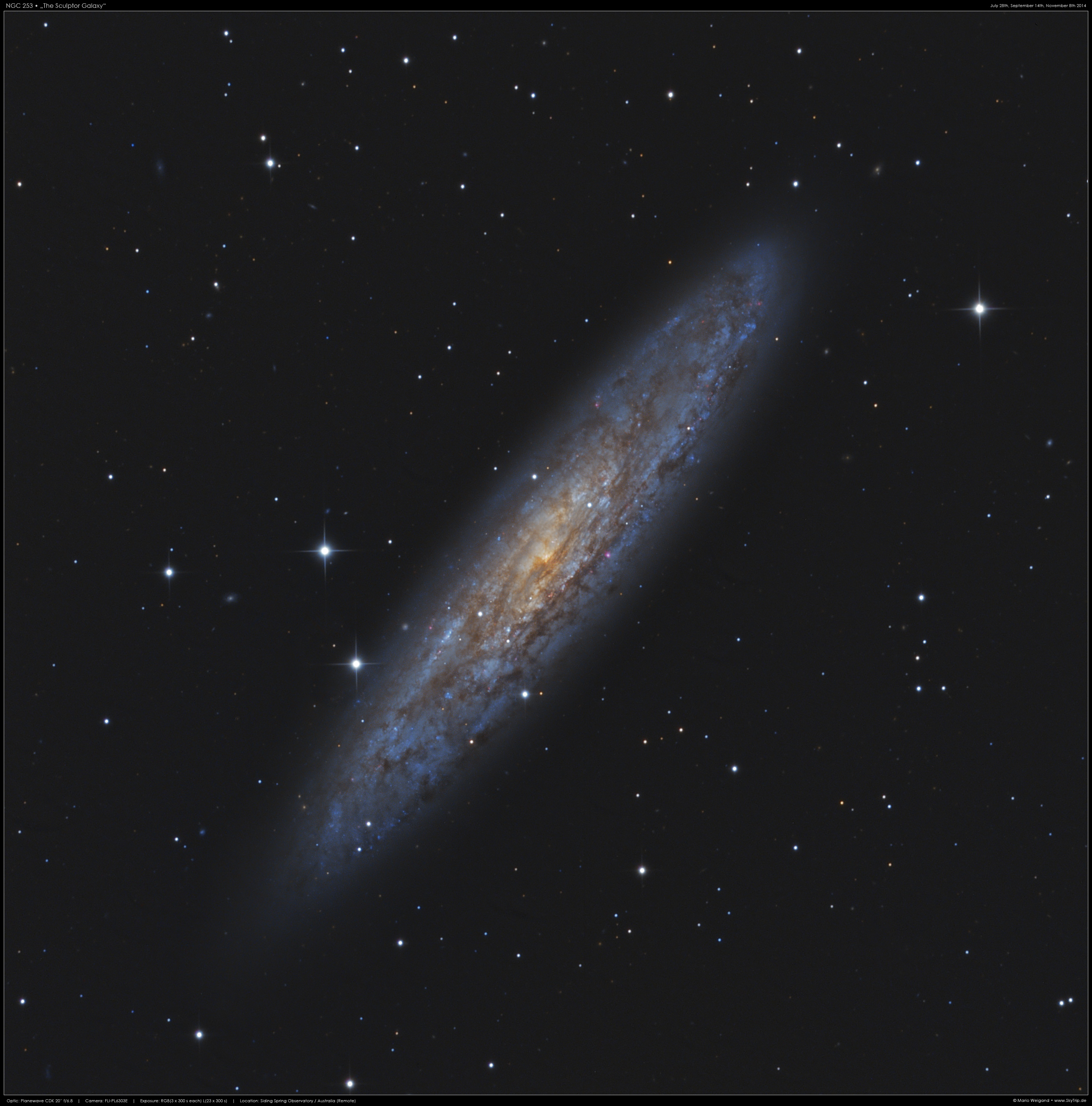 NGC 253 • Sculptor Galaxie