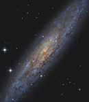 NGC 253 • Sculptor Galaxie