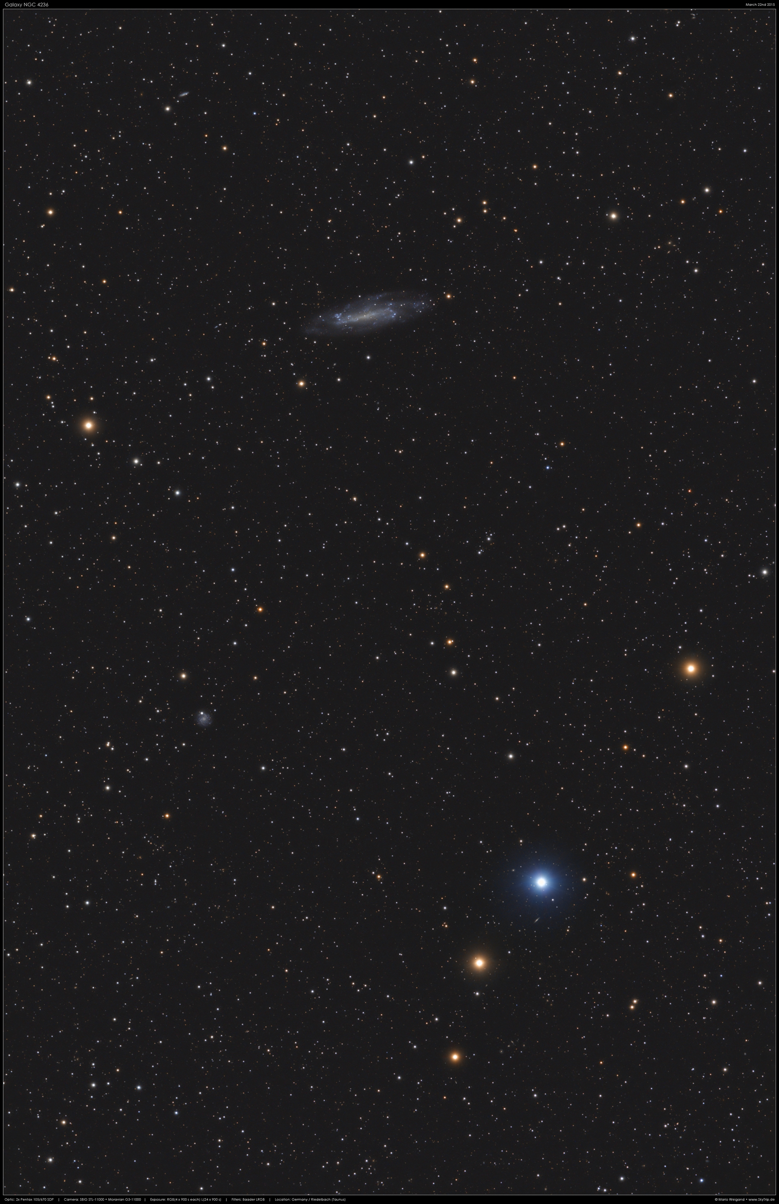 Spiralgalaxie NGC 4236 im Sternbild Drache