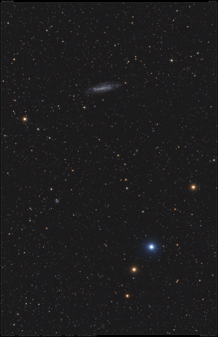 Spiralgalaxie NGC 4236 im Sternbild Drache