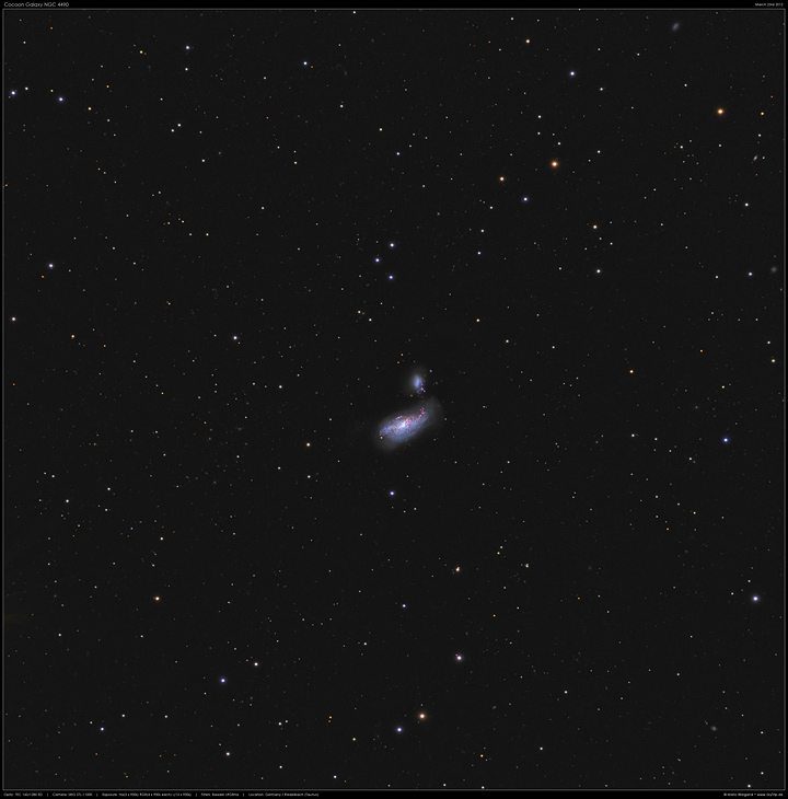Kokon-Galaxie NGC 4490