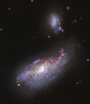 Die Kokon-Galaxie NGC 4490 & NGC 4485