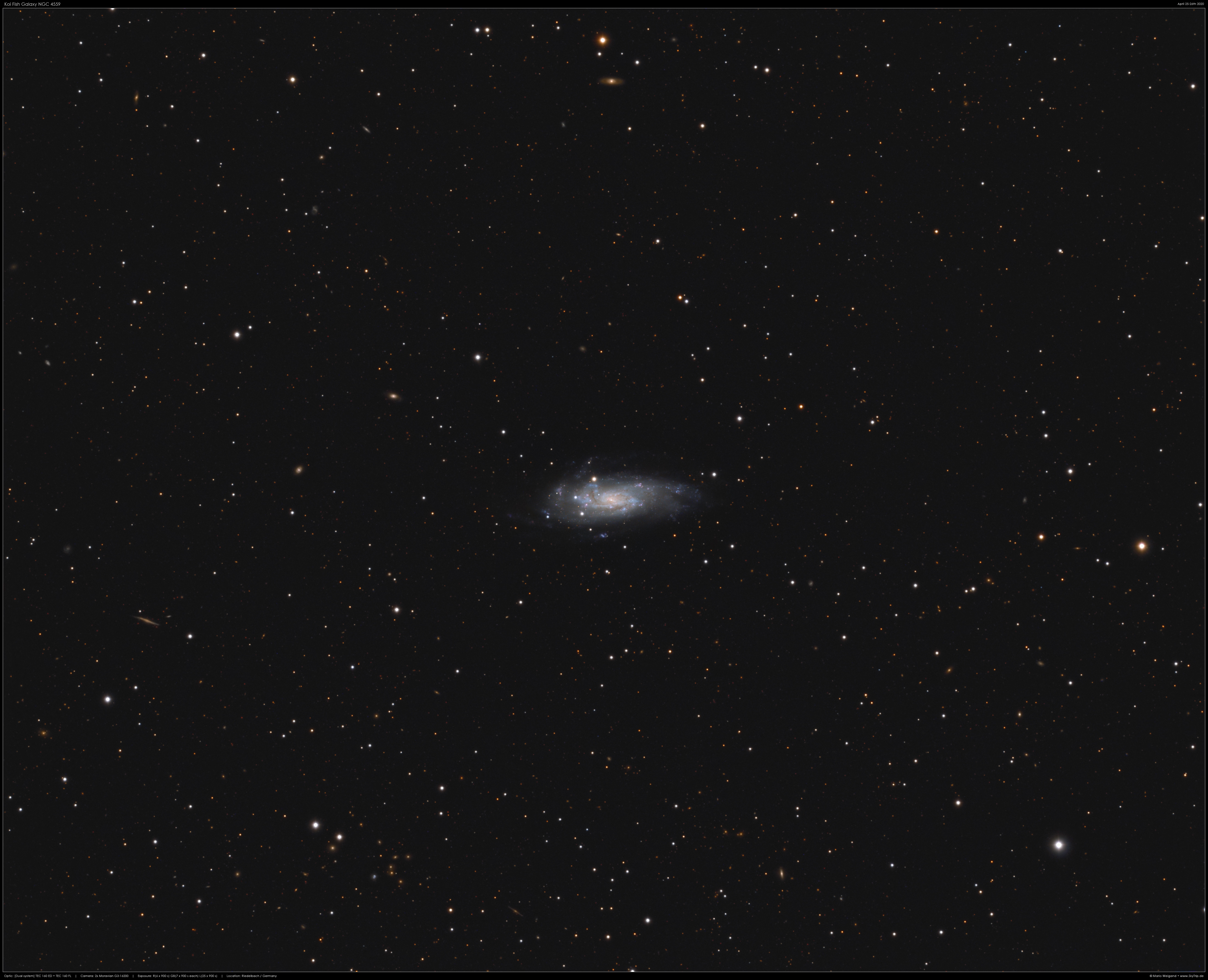 Koi Fish Galaxy NGC 4559
