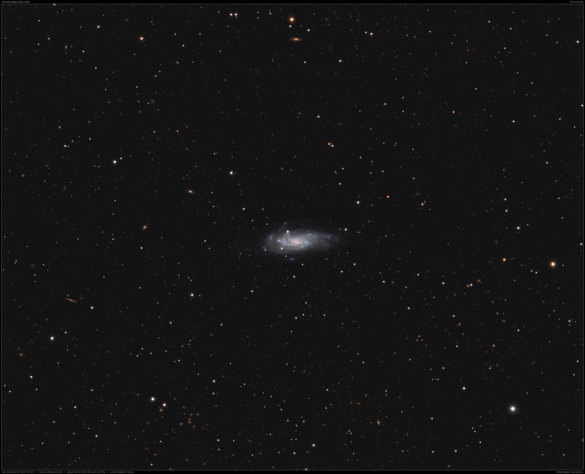Koi Fish Galaxy NGC 4559