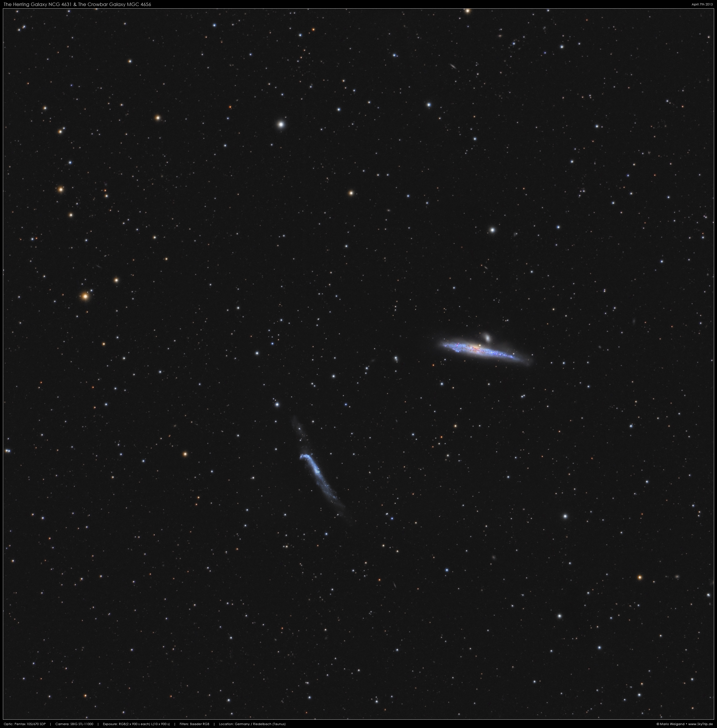 Galaxienpaar NGC 4631 & NGC 4656