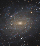 NGC 6744 im Sternbild Pfau
