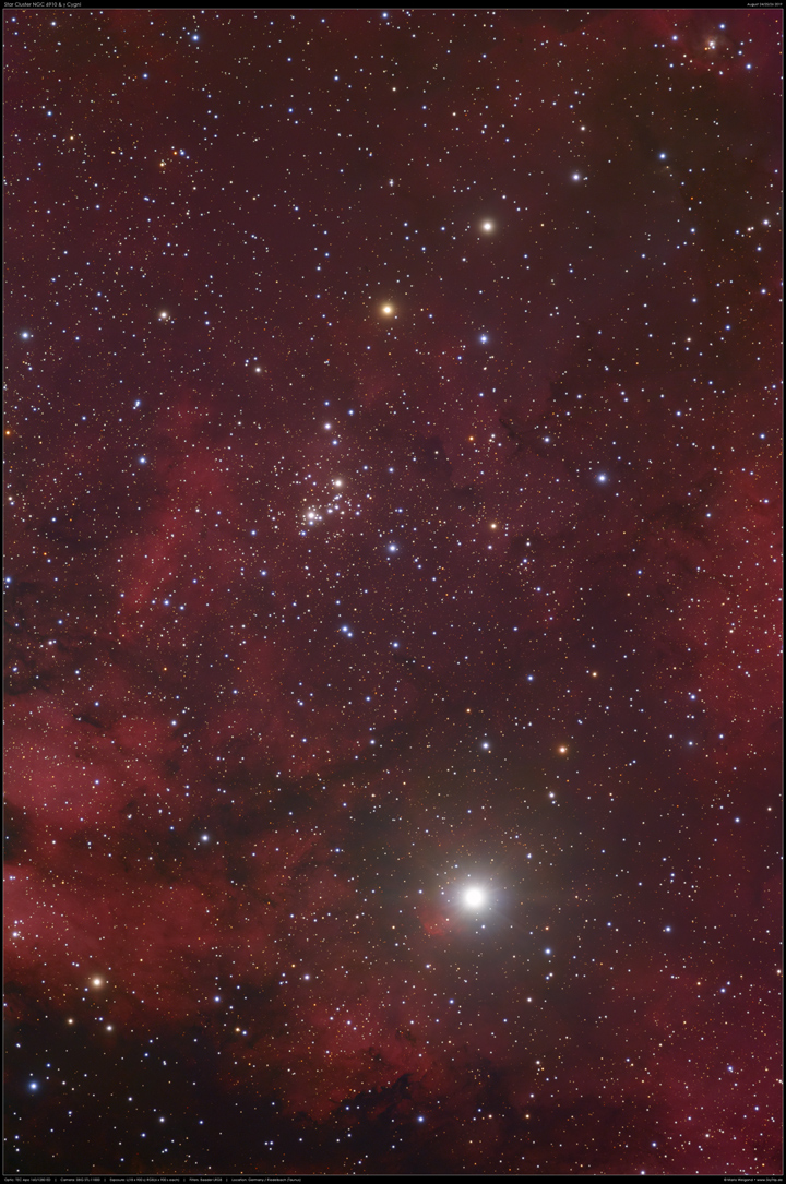 NGC 6910 bei γ Cygni
