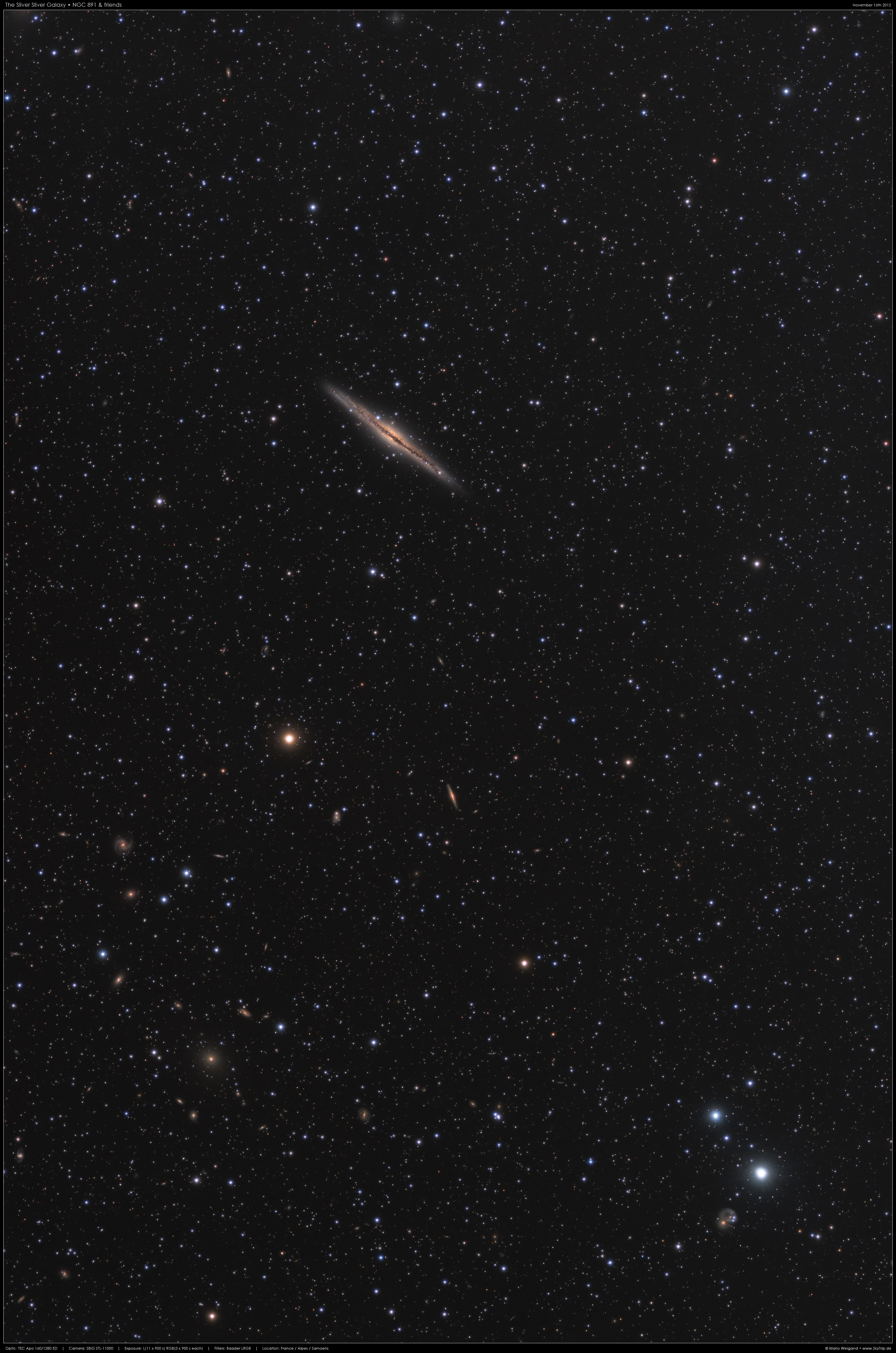 Die Galaxie NGC 891