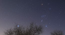Winterhimmel mit Sternbild Orion und Sirius
