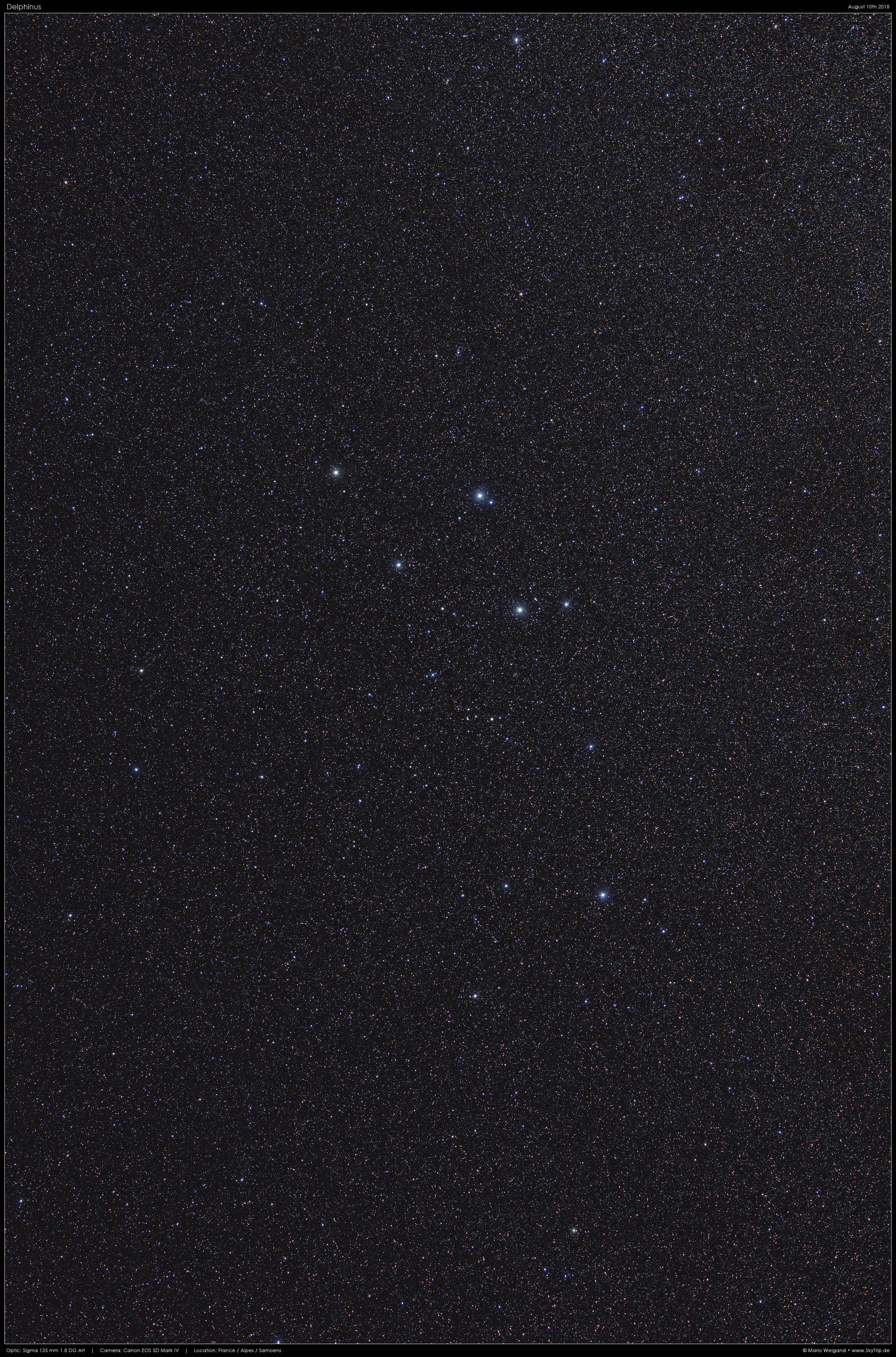Sternbild Delphin