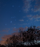 Sternbild Orion am Frühlingshimmel