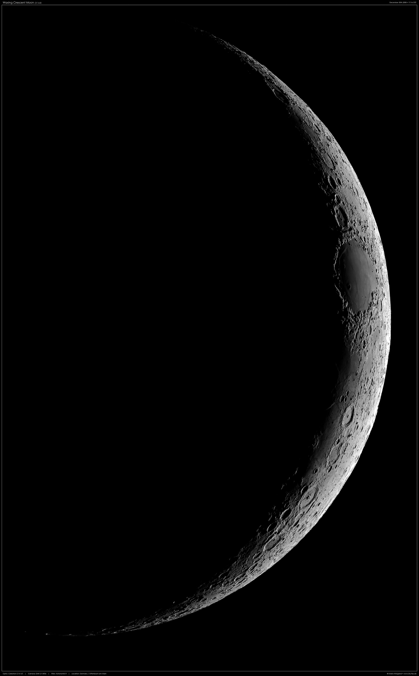Junger Sichelmond (30.12.2008)