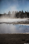 Dampfende Gewässer im Yellowstone