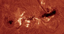 Flare in NOAA 11302