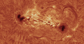 Sonnenfleckengruppe NOAA 12403 in H-Alpha