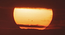 Sonnenfleck NOAA 10904 bei Sonnenuntergang