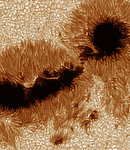 Detailbild eines Sonnenflecks im Weißlicht