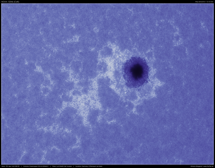 Aktiven Region NOAA 12546 im Kalzium-Licht