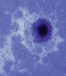 Sonnenfleck NOAA 12546 (koloriert)