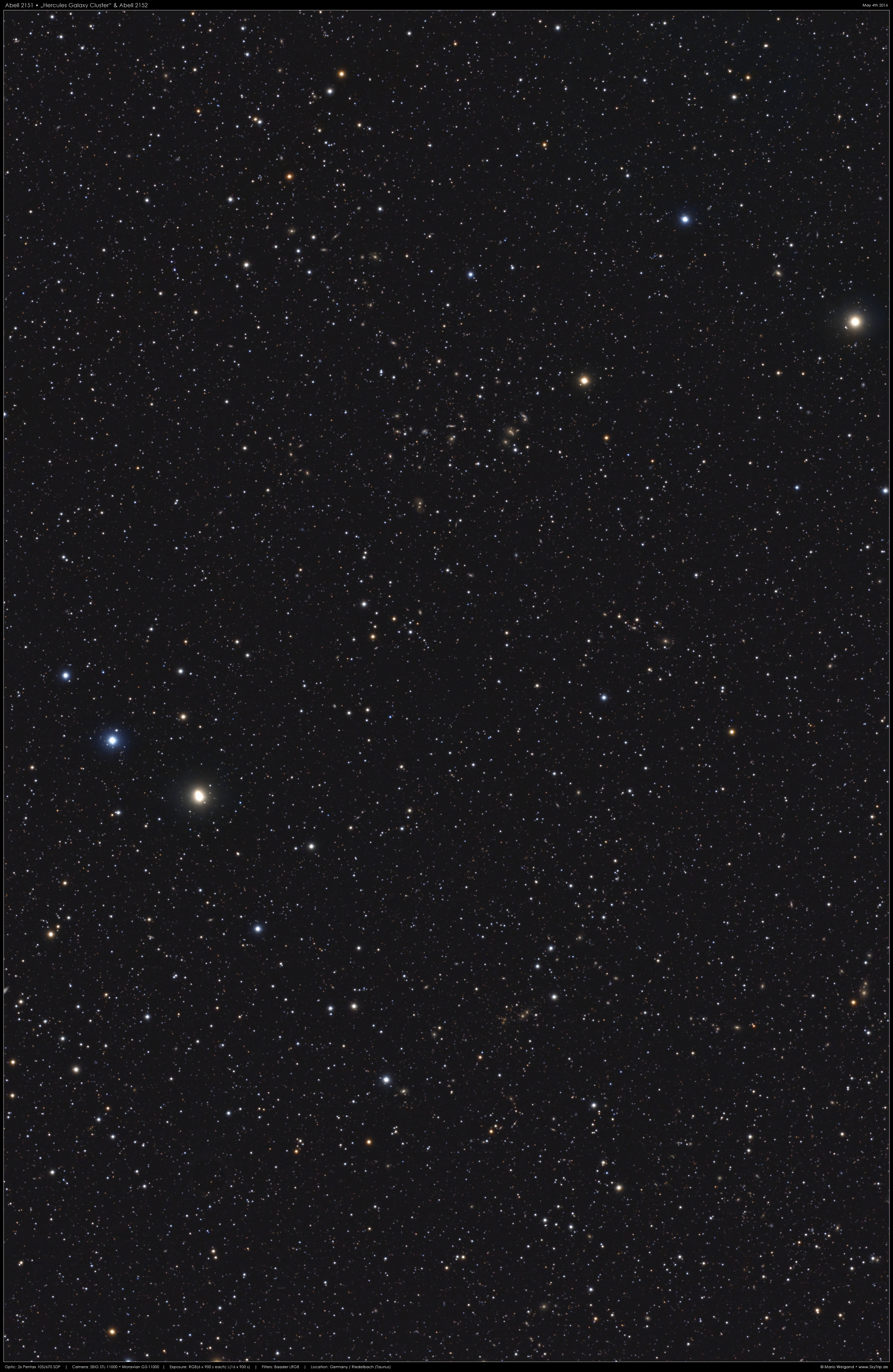 Abell 2151 Herkules Galaxienhaufen