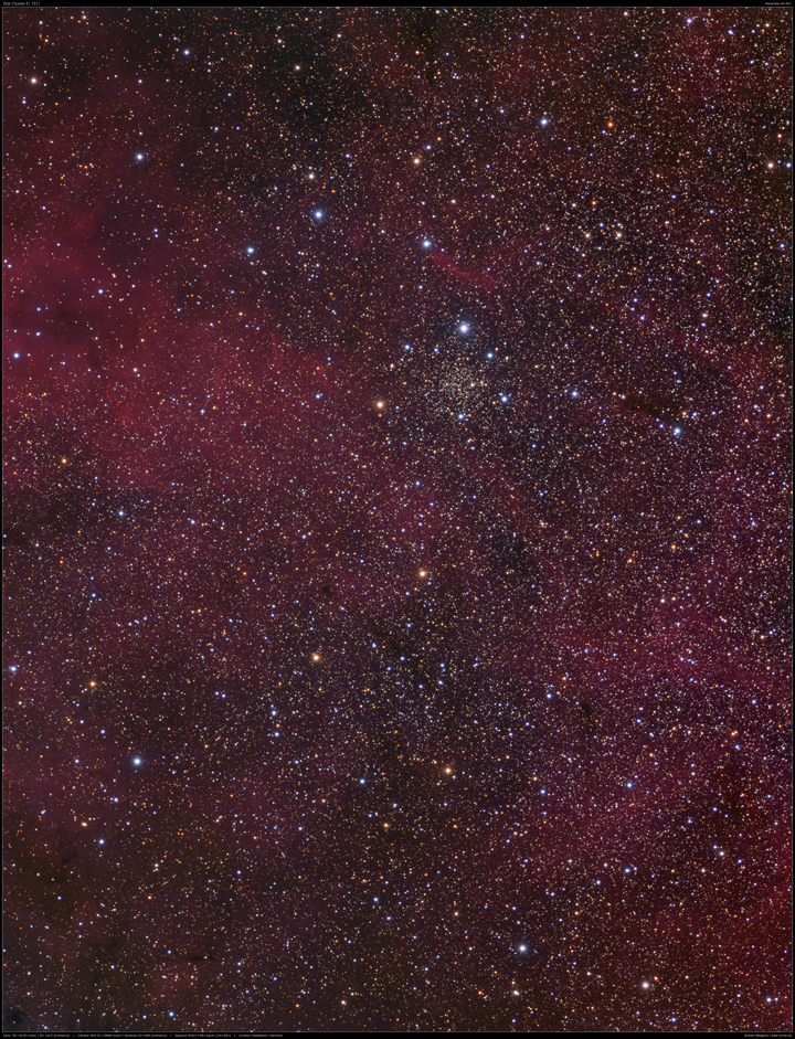 IC 1311 im Schwan