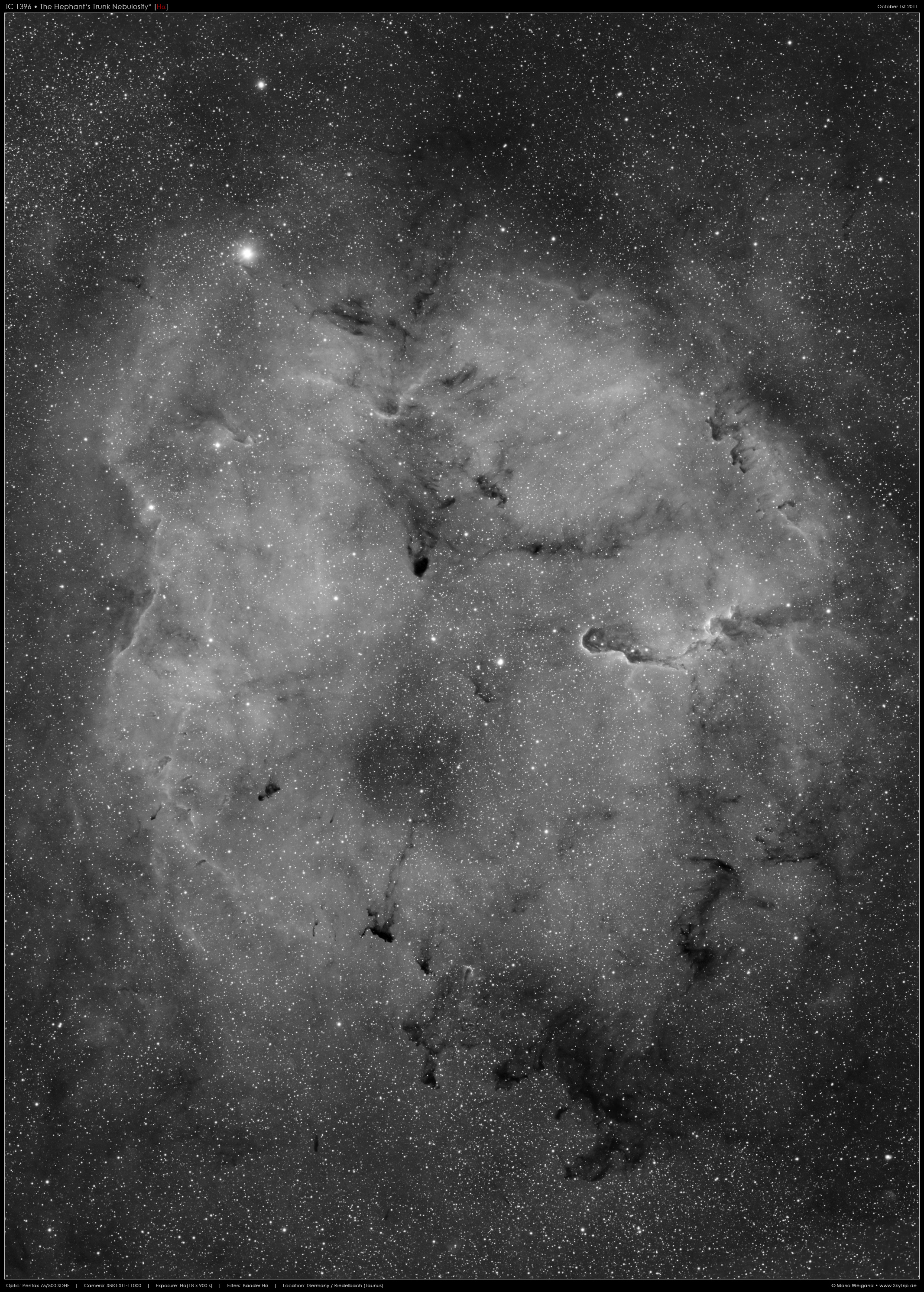 Der 'Elefantenrssel' in IC 1396