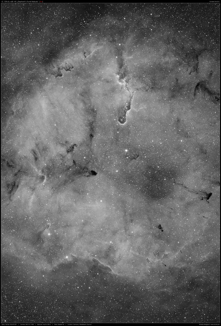 Der 'Elefantenrssel' in IC 1396