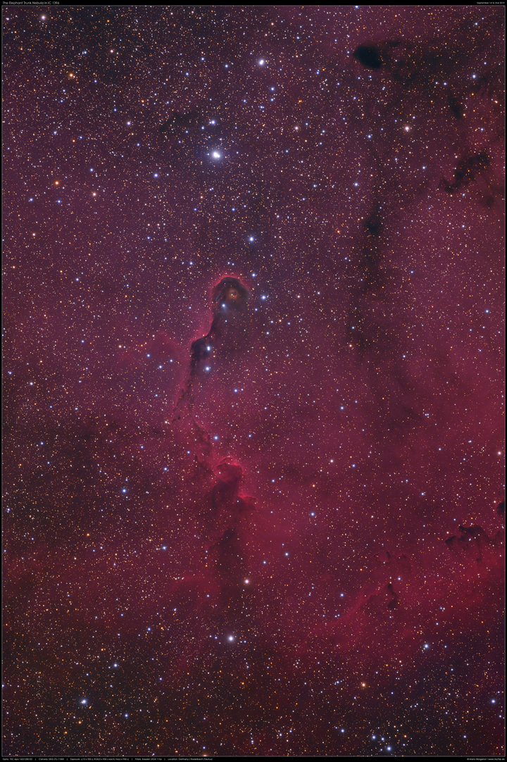 Der Elefantenrssel und vdB 142 in IC 1396