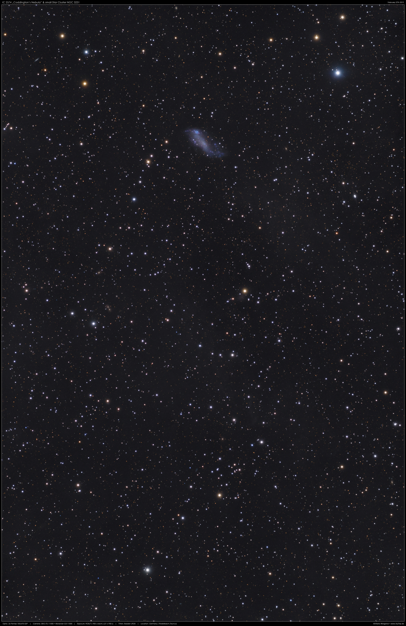 Coddington's Nebula IC 2574 & NGC 3231