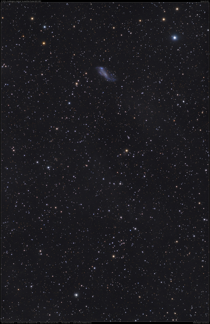 Coddington's Nebula IC 2574 & NGC 3231