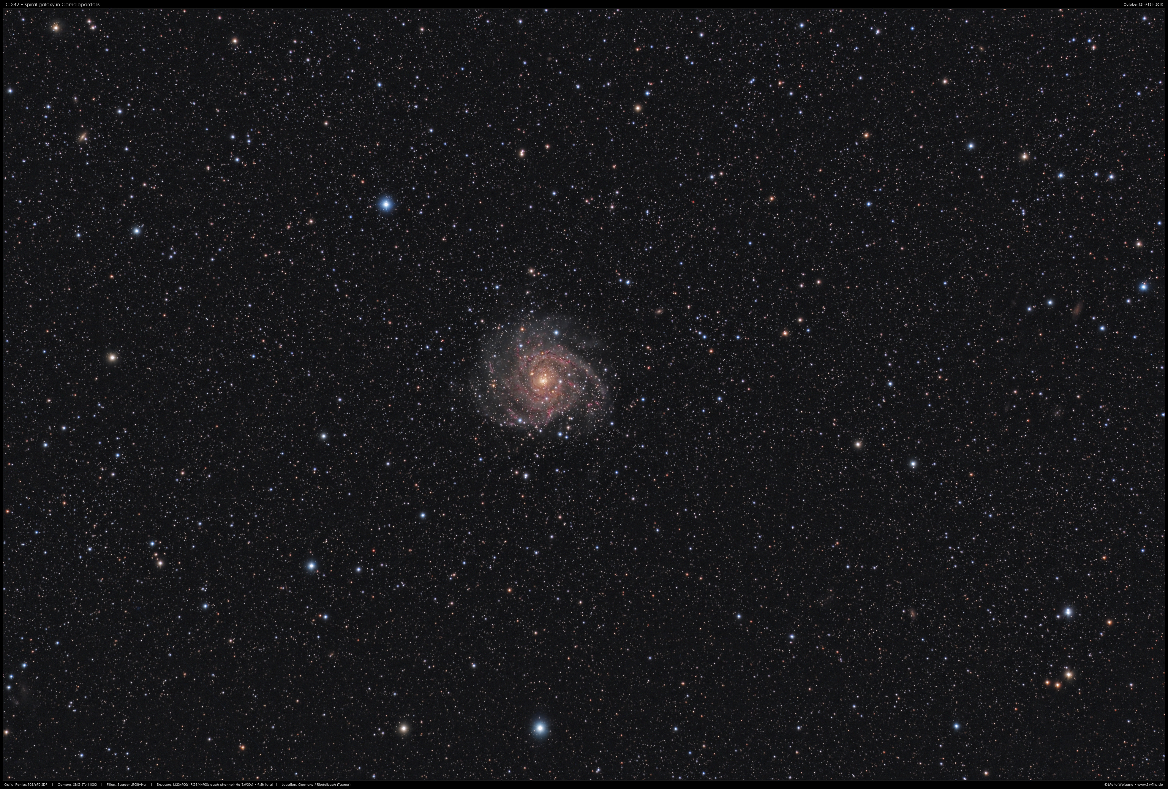 IC 342 - Galaxie der Maffei-Gruppe