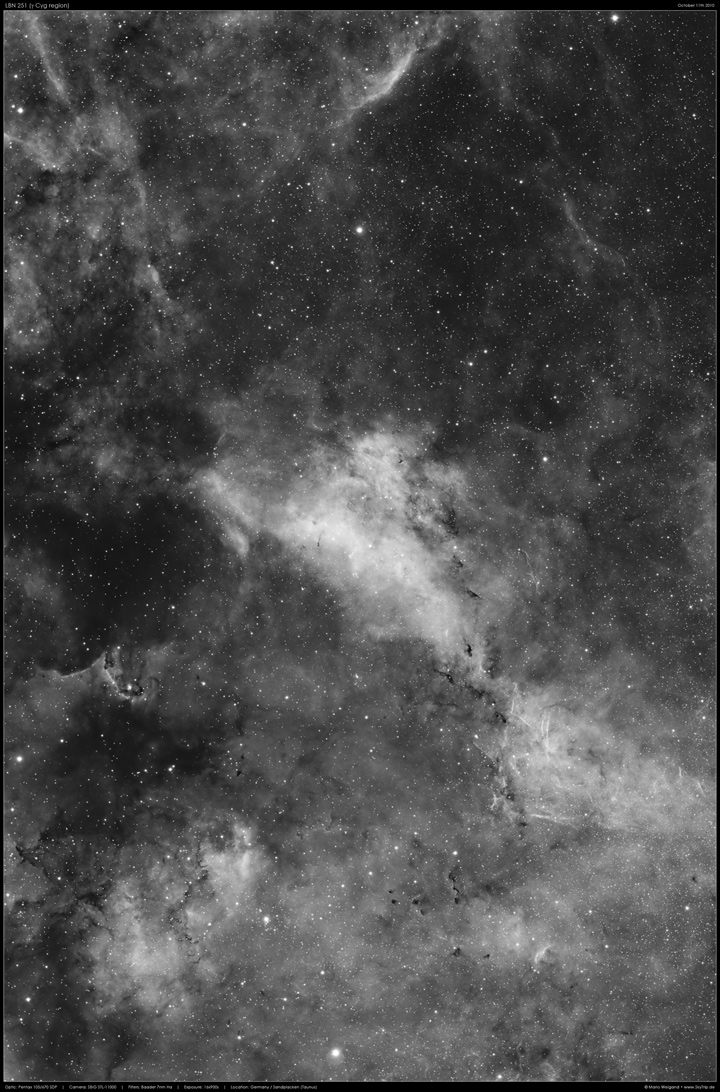 LBN 251 - The Dolphin Nebula