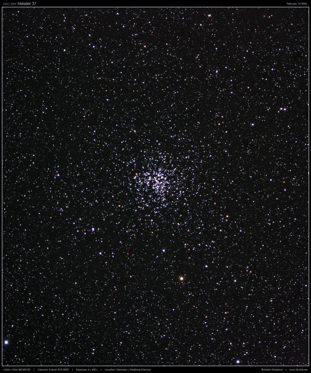 Messier 37 - heller Sternhaufen in Auriga