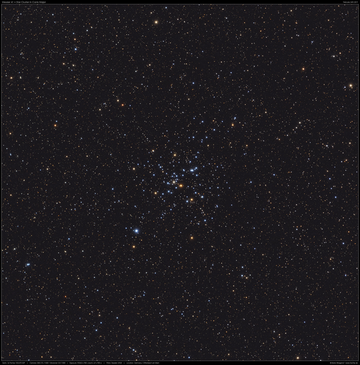 Messier 41 im Großen Hund