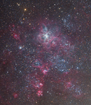 Der Tarantelnebel NGC 2070