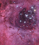 NGC 2244 und der Rosettennebel
